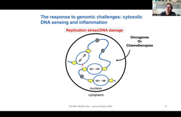 CRT UE38 Part 1 Oncogene-induced replication stress by Herve Techer