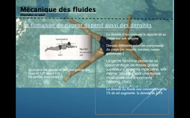 CM5 partie 3