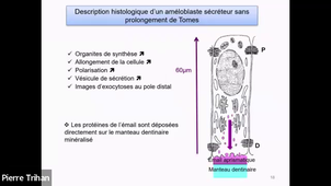 LAS 02.02 Cours LAS 2025-2026.mp4