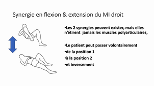 06 - Synergie flexion extension.mp4