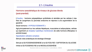 HIN_HOMEOSTASIE_01.mp4