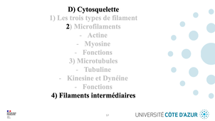 GILSON - Biologie cellulaire - Partie D : Cytosquelette 4/4
