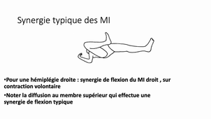 05 - Synergie typique MI.mp4