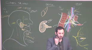 10.02 Cours LAS 2024-2025 20250210.mp4