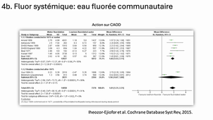 1 Stratégies préventives au domicile_ MMB AEU26