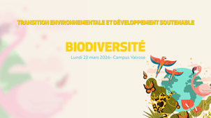 TEDS - BIODIVERSITE