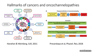 20240926 Transports membranaires et cancer O.Soriani 1/2
