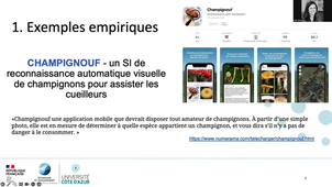 CAL3 - MSI - 09 - exemples empiriques.mp4