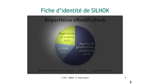 CAL3 - MRH2 - 09B - Analyse Silnok - Identité et actualité.mp4