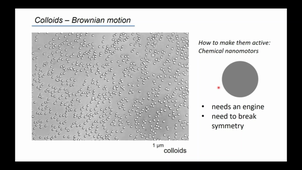 Chemical motors : from single swimmers to collective effects - Peer Fischer