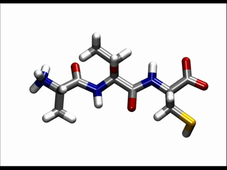peptide