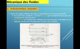 CM5 Partie 5