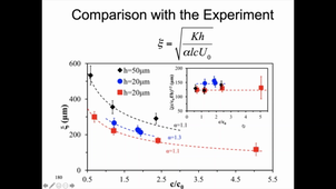 Spatiotemporal organization of a living nematic by confinement and surface anchoring - Igor Aronson