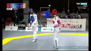 Vidéo : Connaissance des APSA ( sport Taekwondo: Féminin )