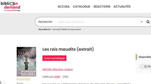 BibliOnDemand : prêt numérique en bibliothèque
