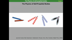 Introduction to and challenges in Active Matter - Fernando Peruani (part 2)