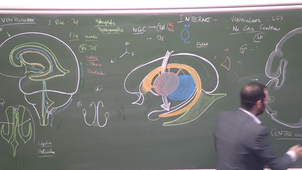 LAS 13.04 Cours LAS 2025-2026 II