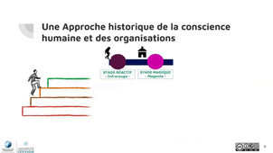 CAL3 - ARM - 45 - différents stades d'évolution.mp4