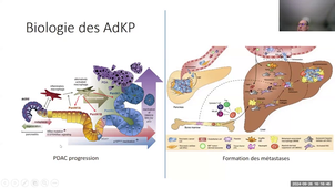 Transports membranaires et cancer O.Soriani.mp4