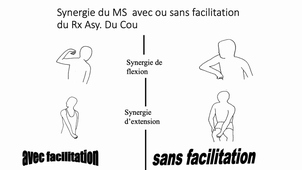 03 - Avec ou sans facilitations.mp4