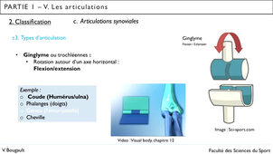 Capsule_8_Partie 1.V.2.c. Classification des articulations synoviales