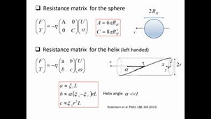 Some elements on bacteria motility - Eric Clement