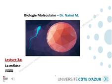 LECTURE 3a - MEIOSE OK.mp4