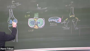 LAS 16.03 Cours LAS 2025-2026