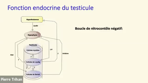 LAS J 14.10 Cours LAS 2025-2026.mp4