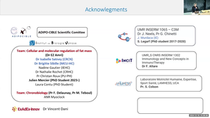Exercise and Obesity Treatments Immunometabolism as the Core of Vitality Capacity