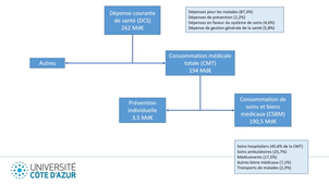 Sécurité sociale et économie de la santé