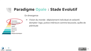 CAL3 - ARM - 51 - Stade évolutif.mp4