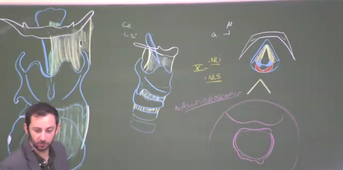 10.02 Cours LAS 2024-2025 20250210 bis.mp4