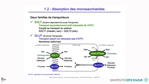 HIN_NUTRIMENTS_01.mp4