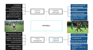 DA-VEIGA-FURTADO_Leonel_Présentation_mi_semestre