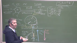 10.03 Cours LAS 2024-2025 20250310 1.mp4